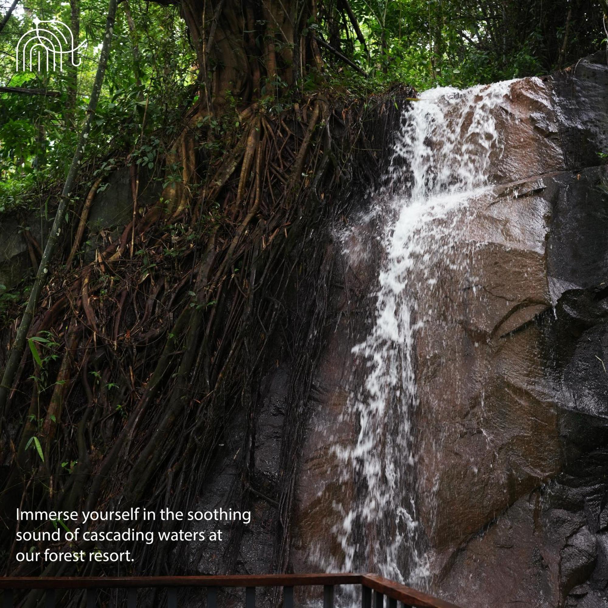 Wayanad Silverwoods Forest Resort & Spa Padinjarathara Ngoại thất bức ảnh