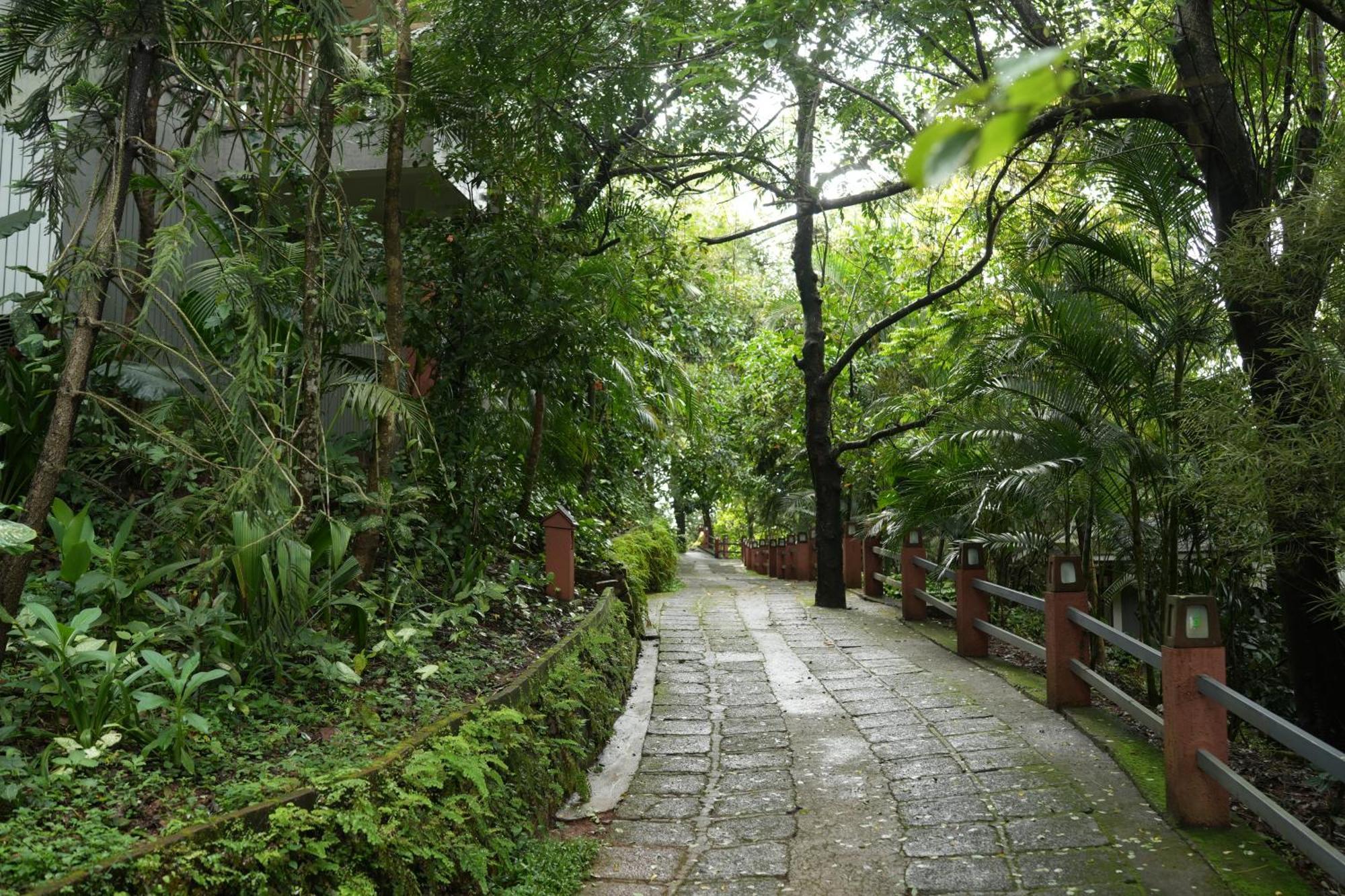 Wayanad Silverwoods Forest Resort & Spa Padinjarathara Ngoại thất bức ảnh
