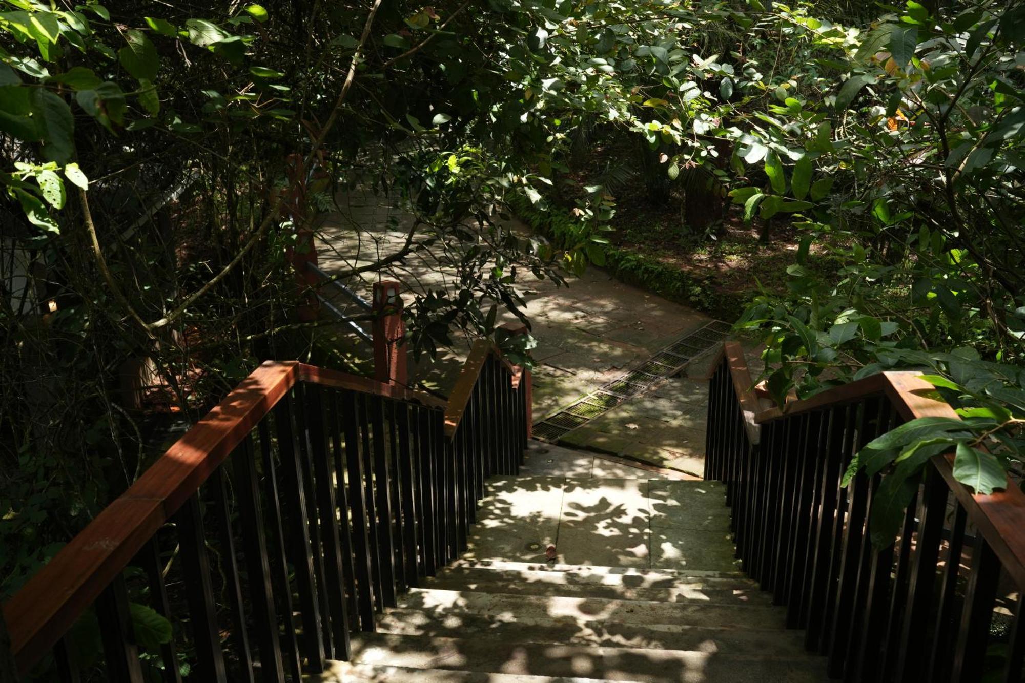 Wayanad Silverwoods Forest Resort & Spa Padinjarathara Ngoại thất bức ảnh