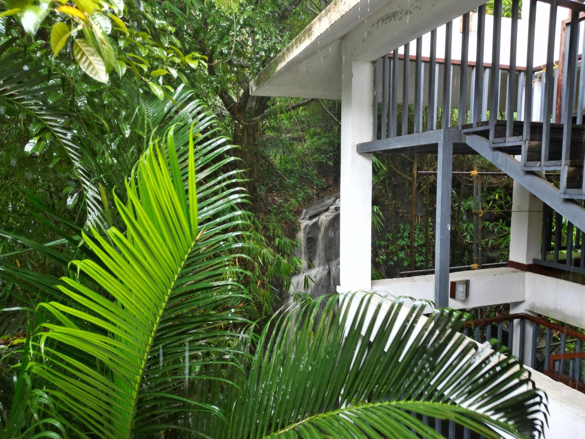 Wayanad Silverwoods Forest Resort & Spa Padinjarathara Ngoại thất bức ảnh