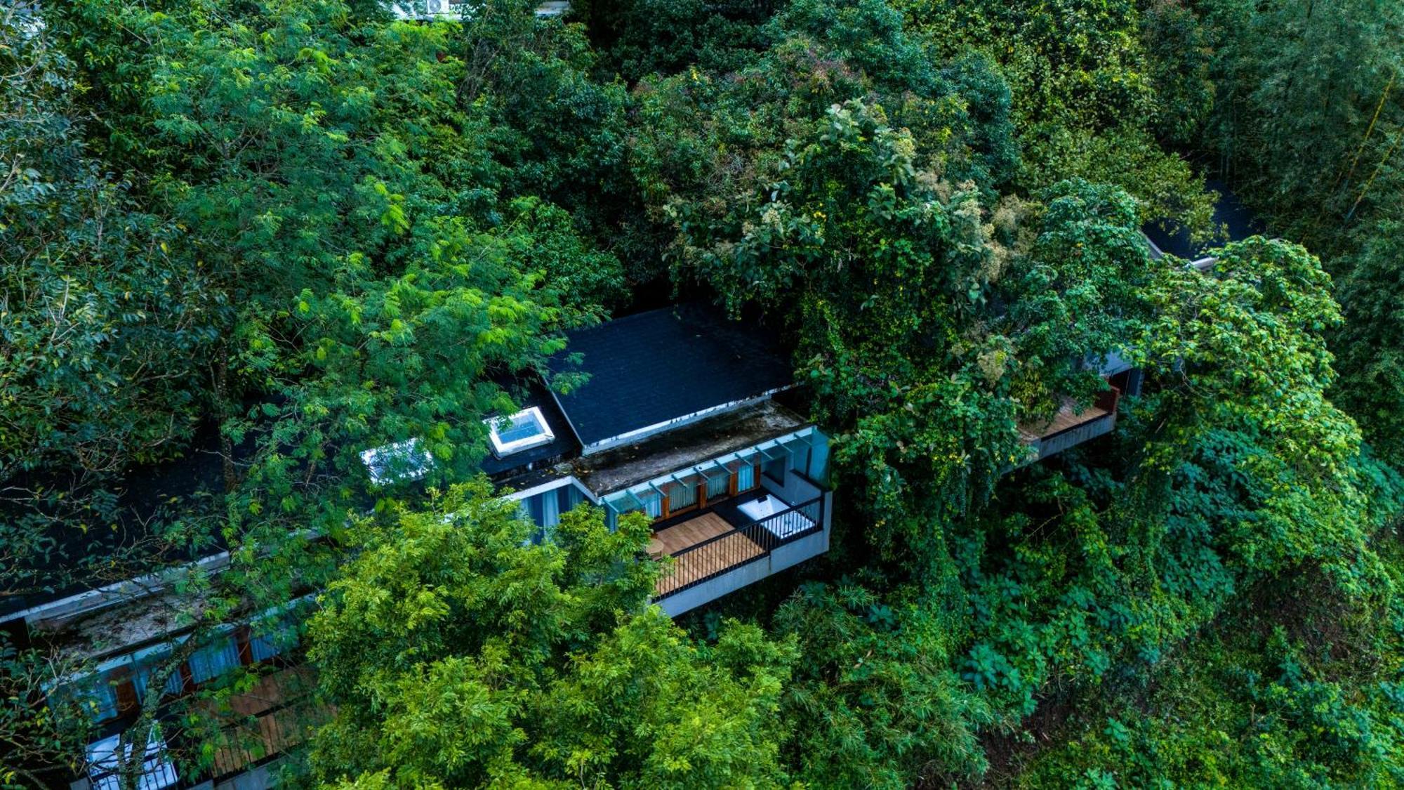 Wayanad Silverwoods Forest Resort & Spa Padinjarathara Ngoại thất bức ảnh